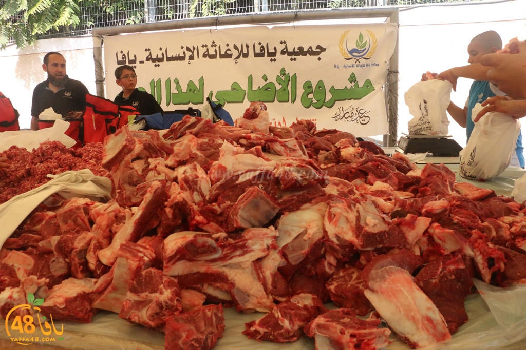 ada7y forthei (61).JPG